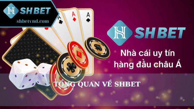 Tổng quan về Shbet