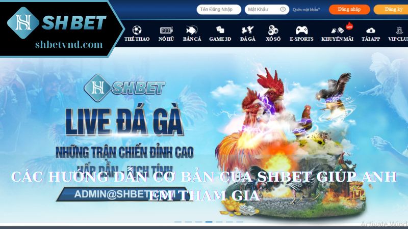 Các hướng dẫn cơ bản của Shbet giúp anh em tham gia